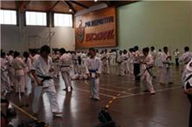 Finaliz&oacute; la Convenci&oacute;n Internacional de Artes Marciales